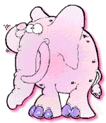 The Elephant